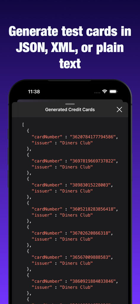 iCardVerify app interface displaying a list of generated test credit card numbers in JSON format for developers and QA professionals