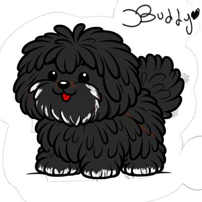 fluffy dog
