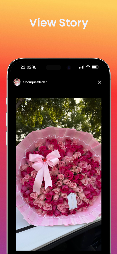 Followers, Unfollowers Report - Smartphone-Bildschirm, der die Funktion 'Story ansehen' der Followers Unfollowers Report App zeigt und eine Instagram-Story mit einem großen pinken Rosenstrauß darstellt.