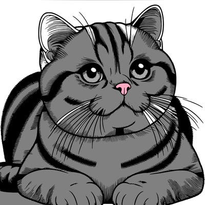 realistic british shorthair cat