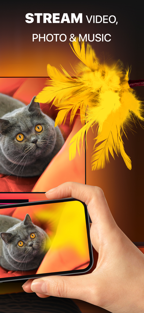 DoCast: Screen Mirroring to TV - 사람이 DoCast를 사용하여 iPhone에서 고양이 사진을 대형 TV 화면으로 미러링하는 모습