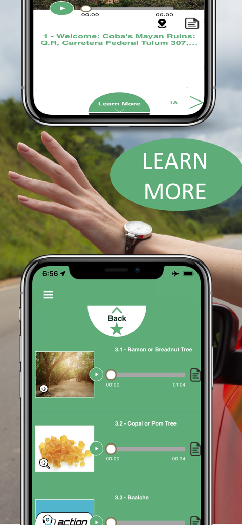Coba Ruins Cancun Mexico Guide - Interface of the Coba Ruins Cancun Mexico Guide app showing audio tracks for local flora and landmarks