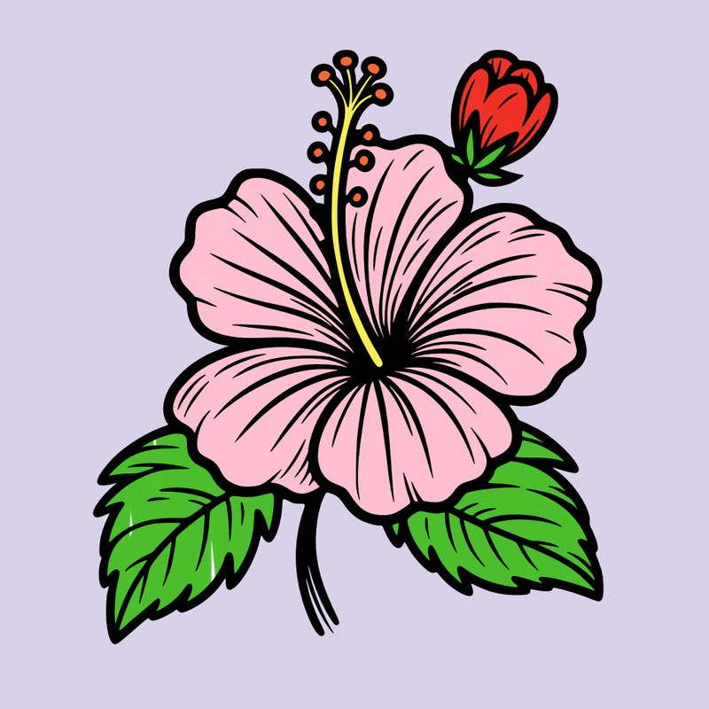 hibiscus flower
