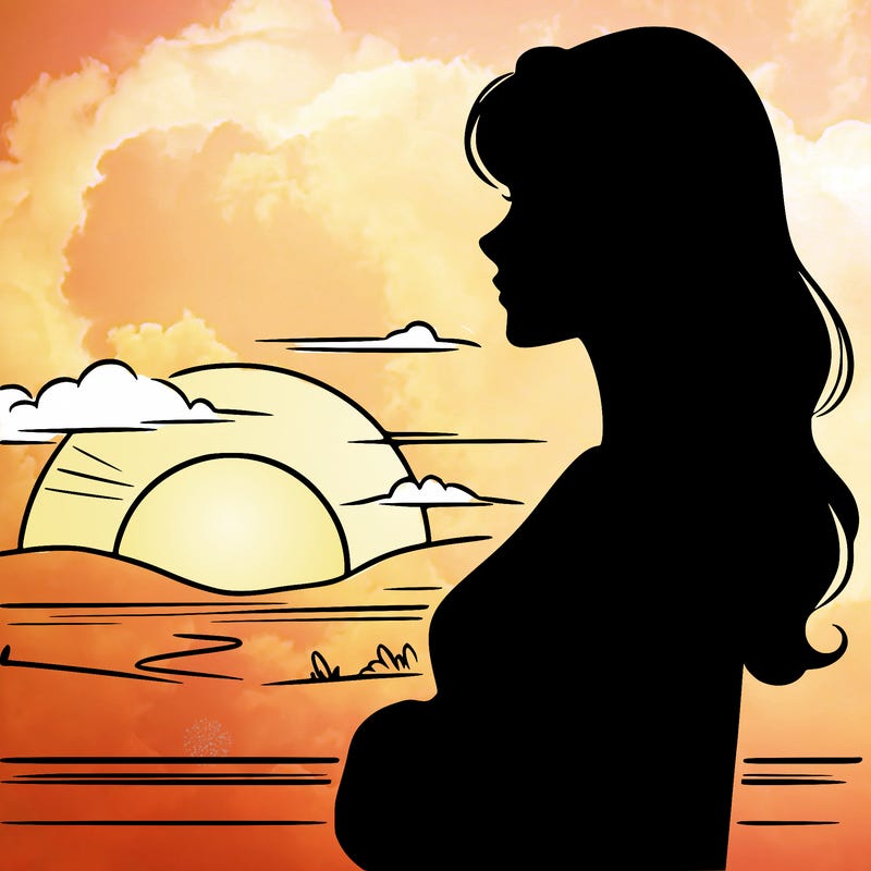 silhouette of a women looking into the sunset