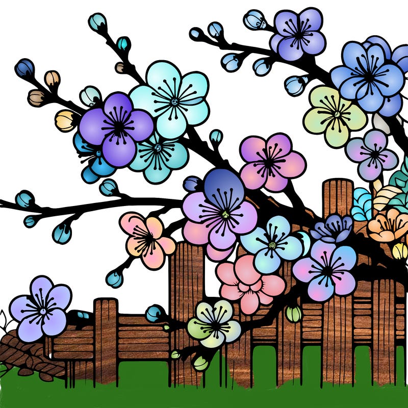 japan cherry blossom