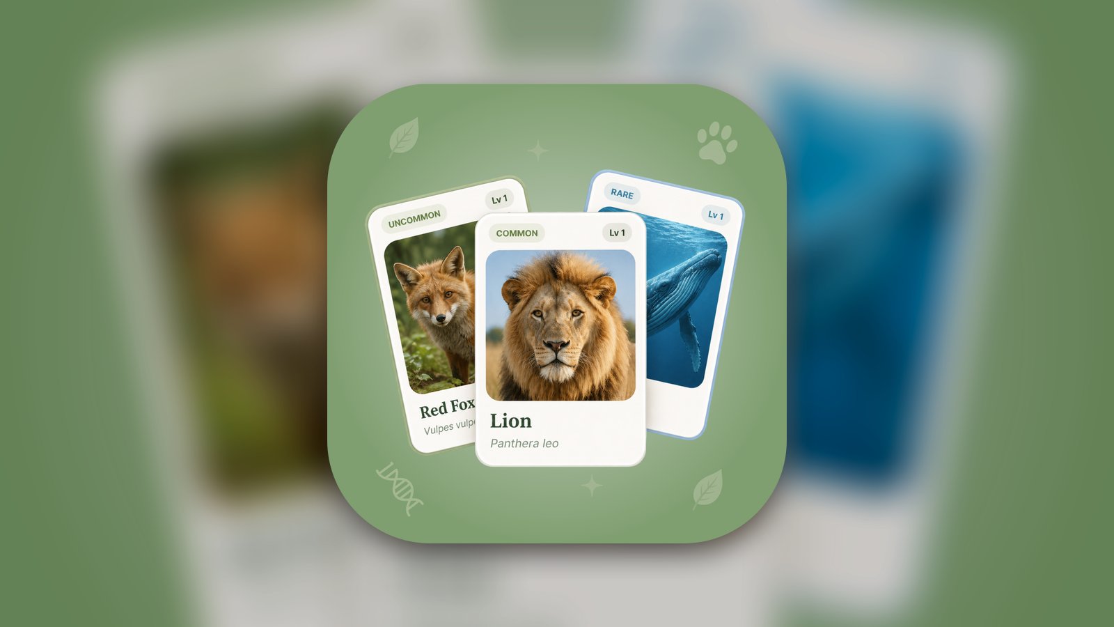 Animal Gacha: Wildlife Cards - Games App | MWM