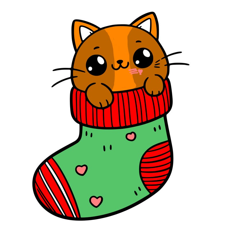 cute cat in a sock
