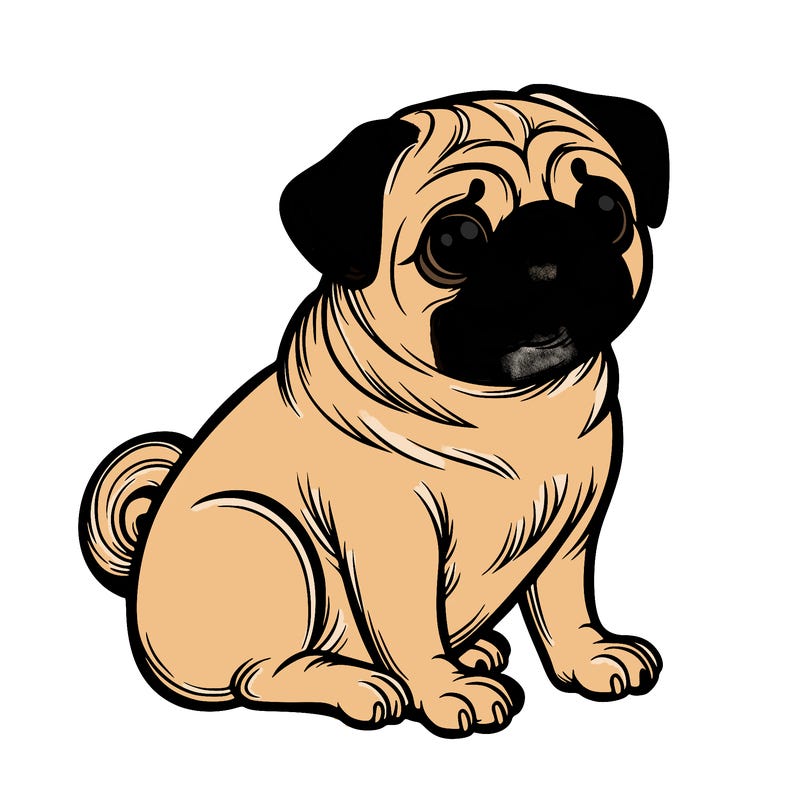 pug