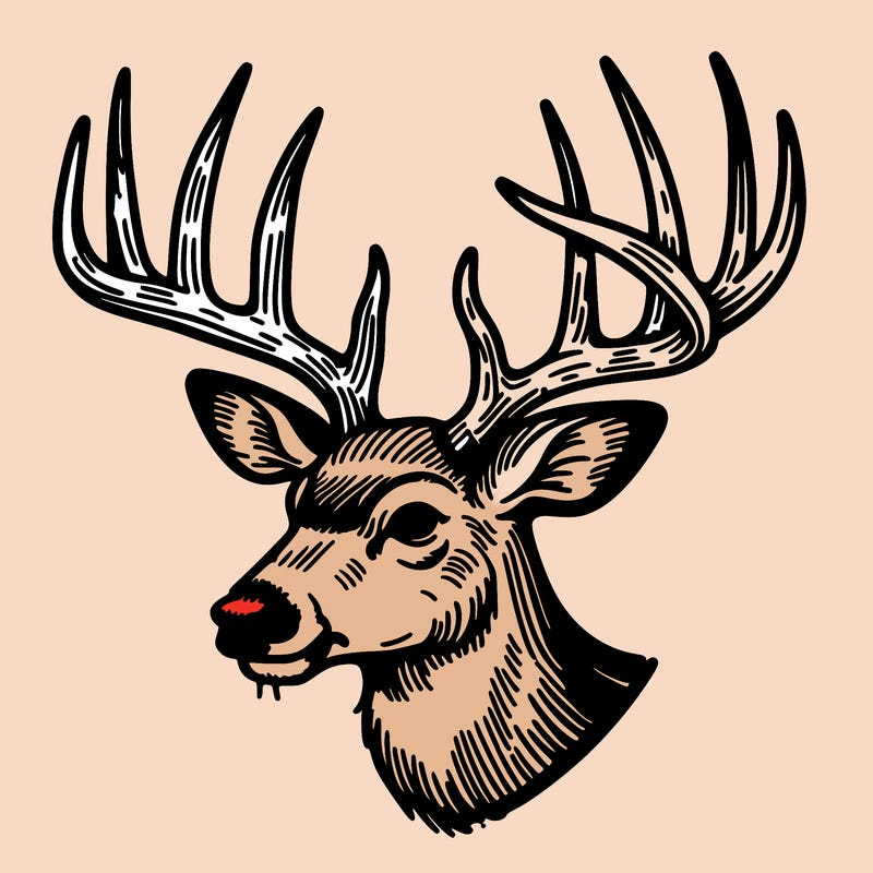 a buck's antlers