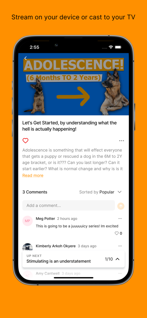MK9Plus - MK9Plus mobile app interface showing a video lesson titled Adolescence with a puppy and adult German Shepherd illustration and community comments.