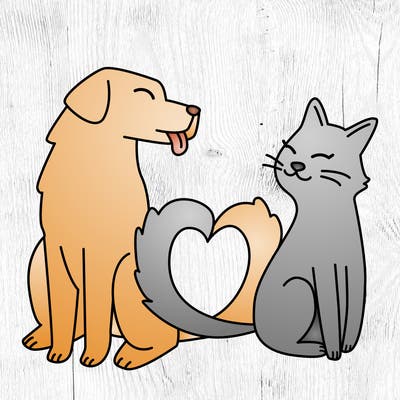 animals_22