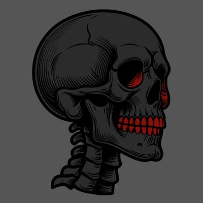 realistic skeleton head