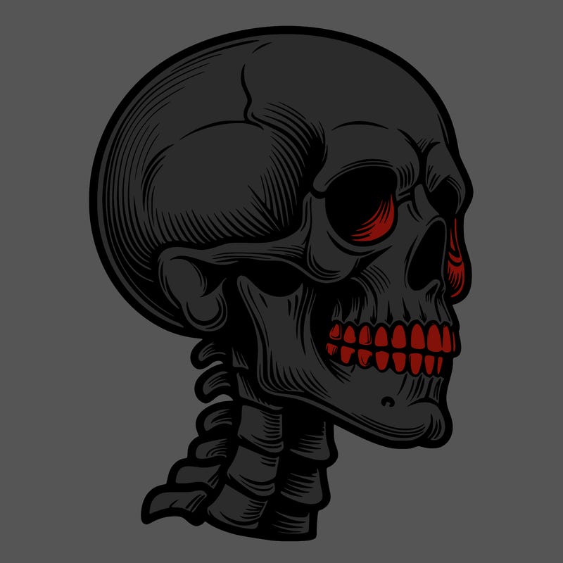 realistic skeleton head