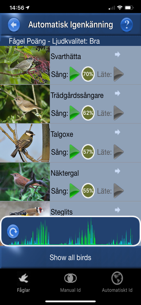 Smartphone screen showing automatic bird song identification results with species names and match percentages.