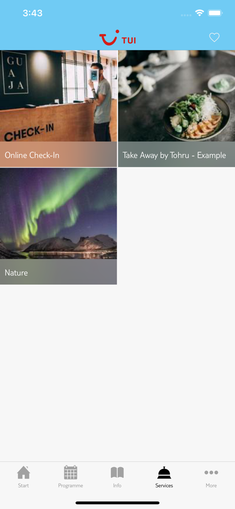 TUI Santa Trips - Pantalla de servicios de la aplicación TUI Santa Trips que muestra opciones para el check-in en línea y excursiones por la naturaleza como la aurora boreal.