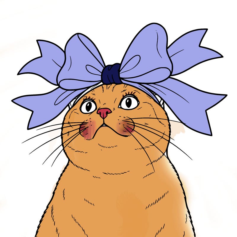 cat with a big bow on her head