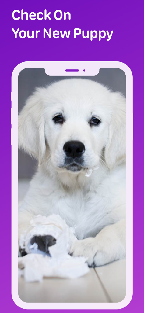 Pet Monitor VIGI - A smartphone screen showing a white puppy with shredded paper and the text Check On Your New Puppy