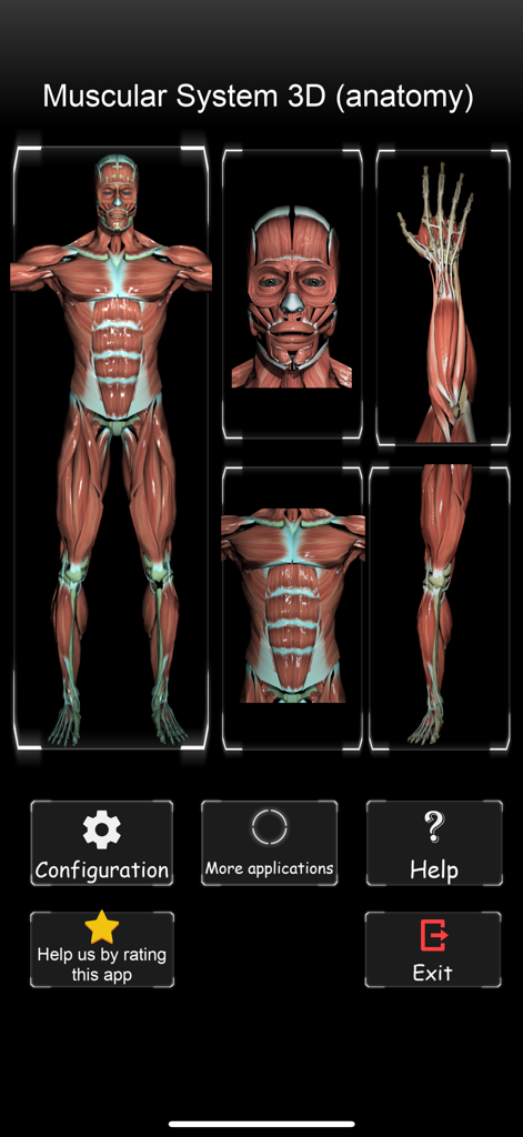 Interface do aplicativo Sistema Muscular 3D exibindo vários modelos musculares anatômicos e botões de menu.