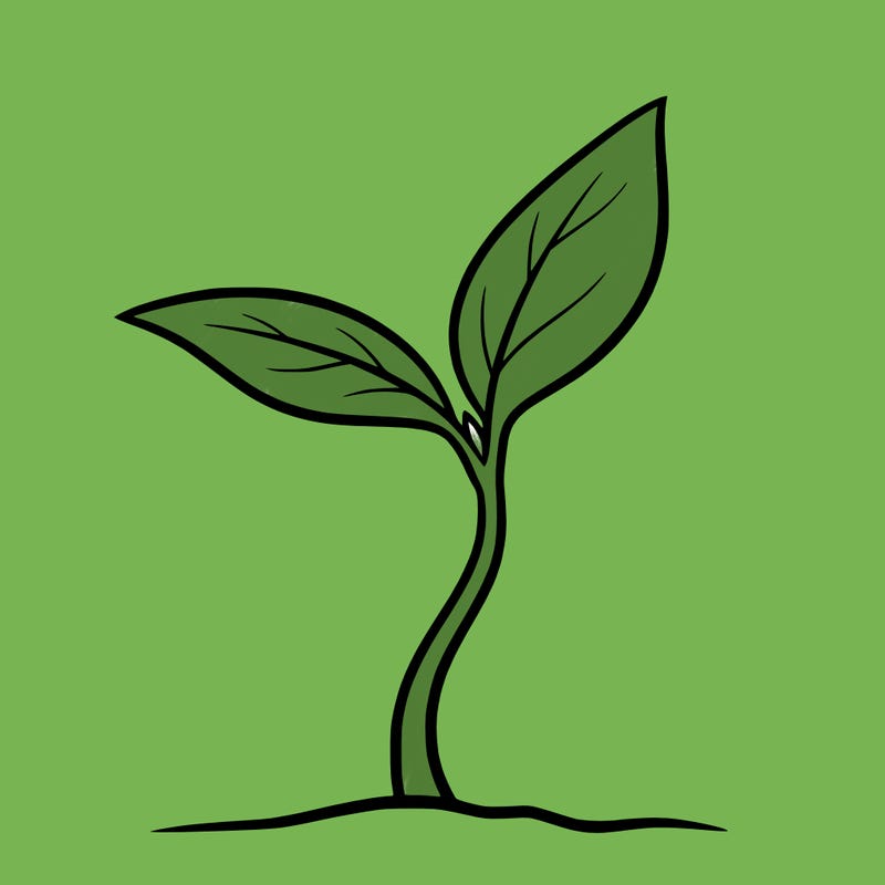1 tiny sprout