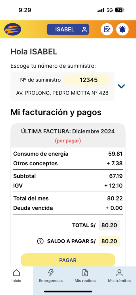 Luz del Sur - Captura de pantalla de la aplicación móvil Luz del Sur que muestra los detalles de facturación eléctrica y un botón de pago