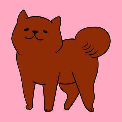 animals_29