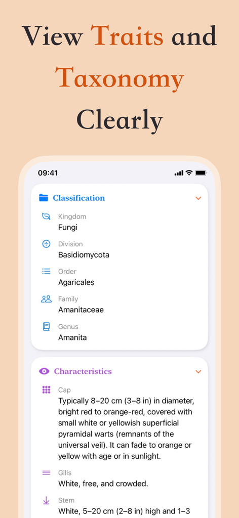 Mushroom Identifier & Forage - Mobile app screen showing the scientific classification and physical characteristics of a mushroom