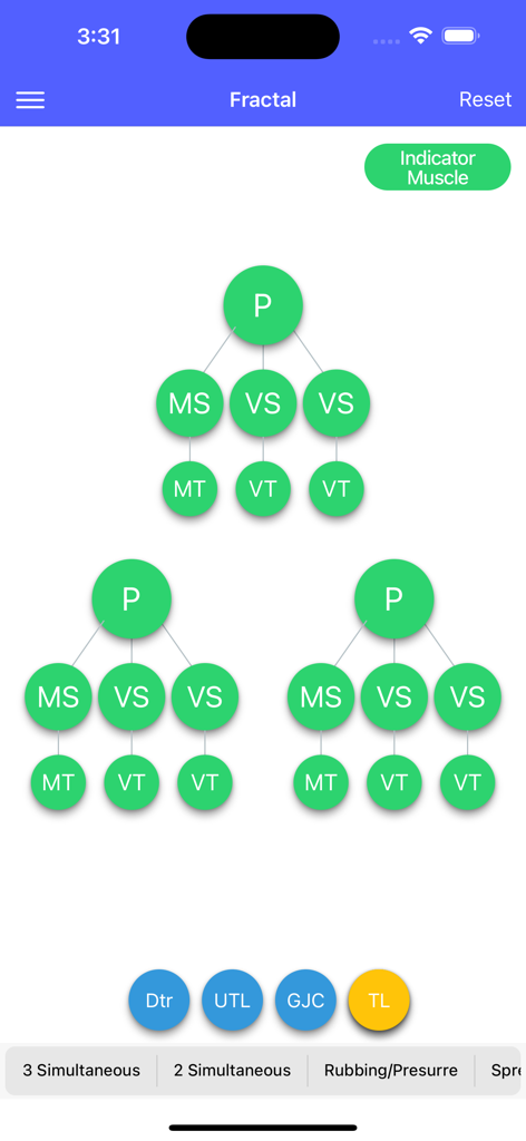 Graphic P-DTR - Graphic P-DTR app fractal screen showing neurological receptor pathway diagrams