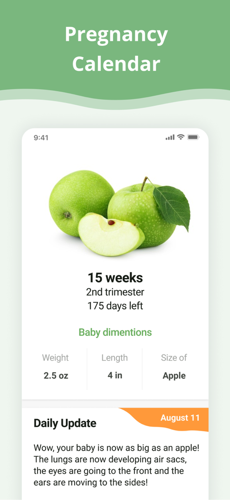 Pregnancy App. - Interfaccia del calendario della gravidanza che mostra la comparazione delle dimensioni del bambino con una mela a 15 settimane.