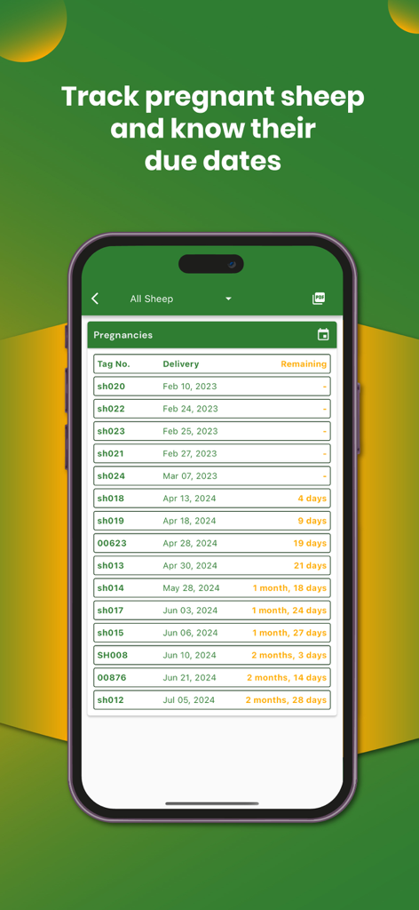 My Sheep Manager - Farming app - My Sheep Manager app interface showing a list of pregnant sheep with their tag numbers, delivery dates, and the time remaining until lambing.