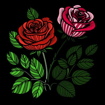 roses