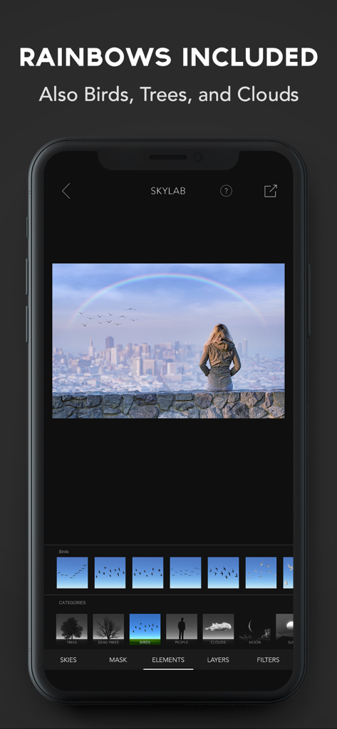 SkyLab app interface demonstrating how to add rainbows and bird elements to a city landscape photo