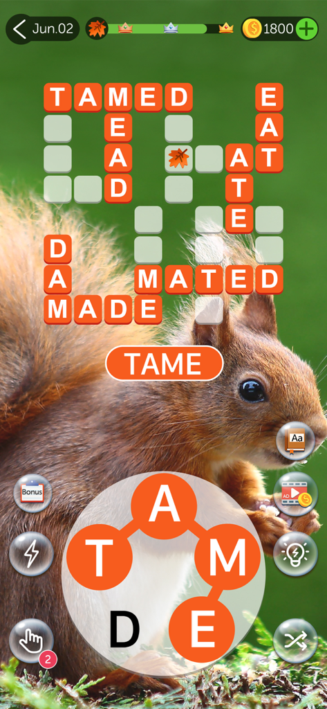 Crossword Quest - Word Puzzles - A word search puzzle level in Crossword Quest with a high resolution squirrel background and orange letter tiles