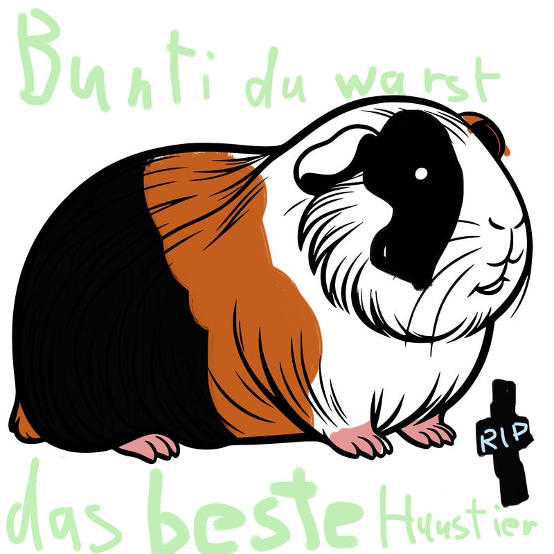 guinea pig