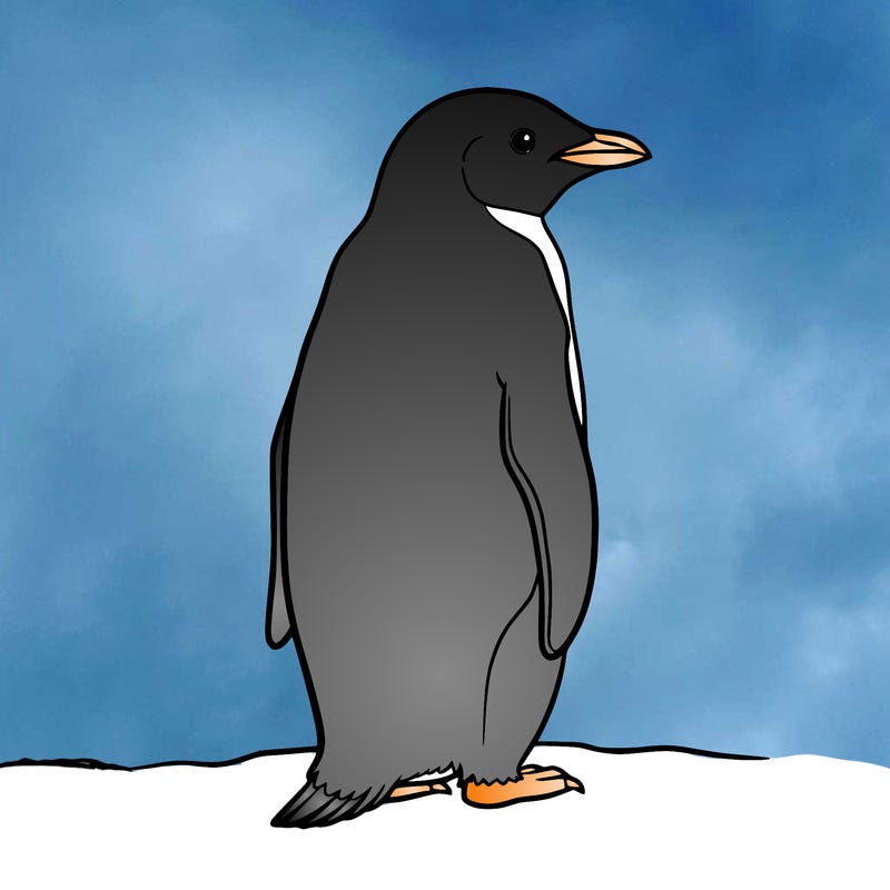penguin