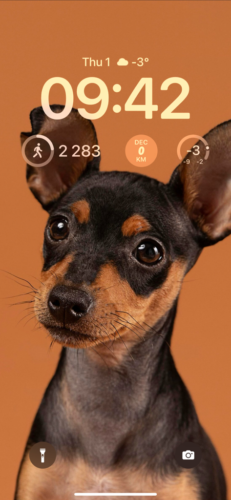 Locky: Wallpapers Depth Effect - Pantalla de bloqueo de iPhone con un fondo de pantalla de un lindo cachorro que presenta un efecto de profundidad y un estilo de reloj personalizado