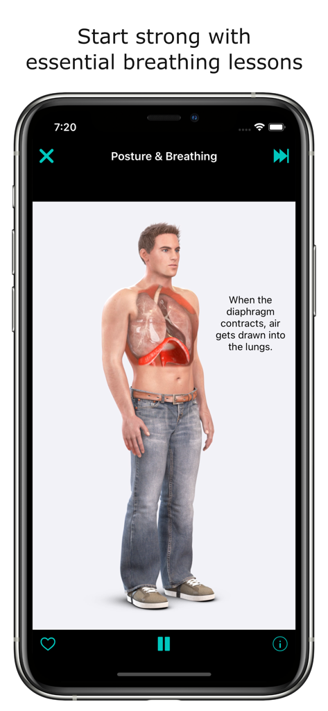 Modelo anatômico 3D explicando a função do diafragma durante aulas de respiração vocal no aplicativo.