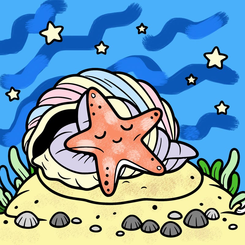 starfish sleeping in a seashell bed