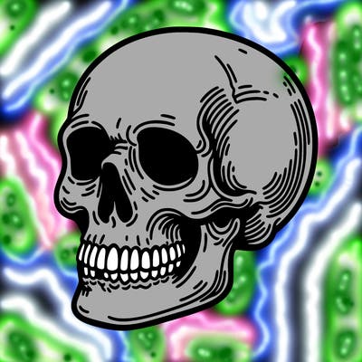 skull