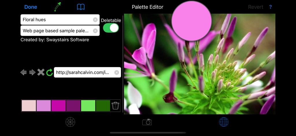 Interface do aplicativo Color Hints mostrando o Editor de Paletas extraindo cores de uma fotografia de flor rosa
