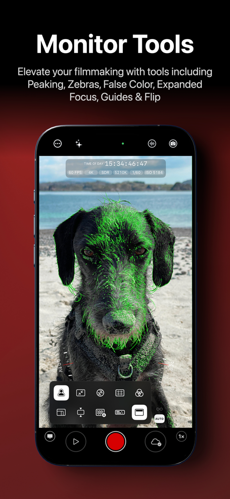 Mavis - Camera - Smartphone screen displaying Mavis Camera monitor tools with green focus peaking on a dog