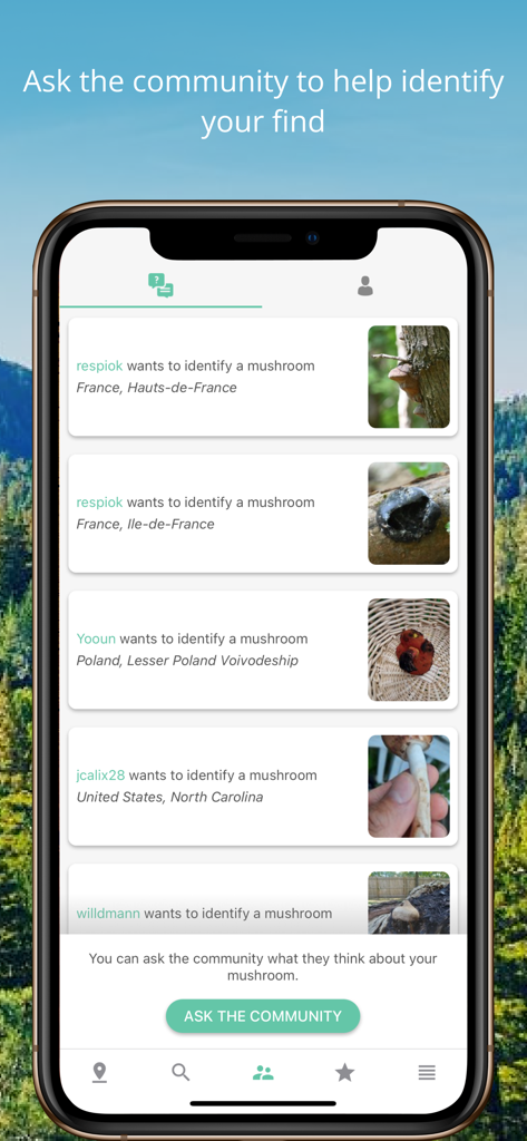 Mushroom Identificator - ユーザーが他のキノコ採りからの識別ヘルプを得るためにキノコの写真を共有するコミュニティフォーラム画面。