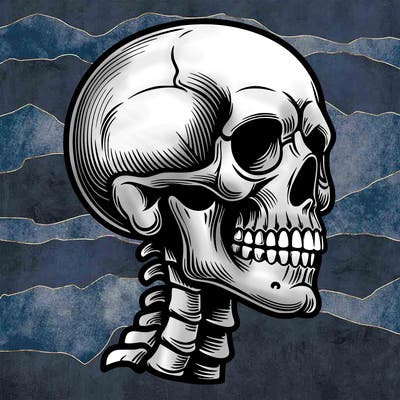 realistic skeleton head