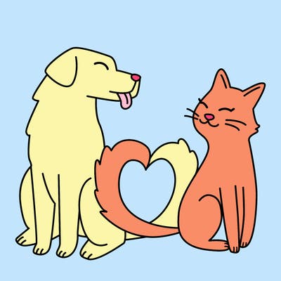 animals_22