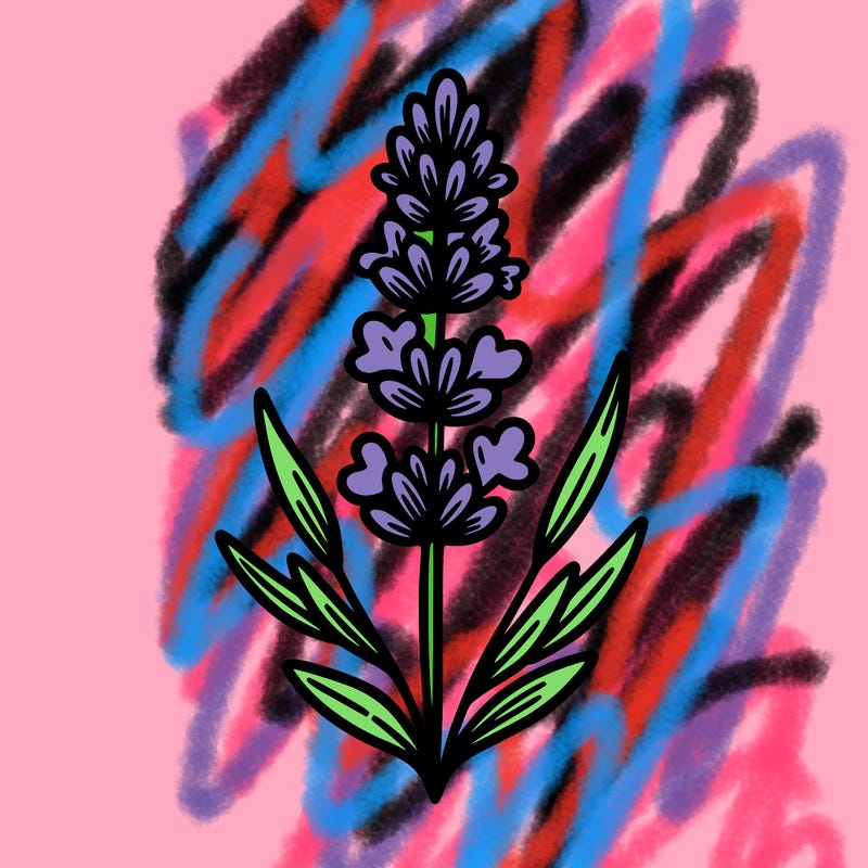 lavender flower