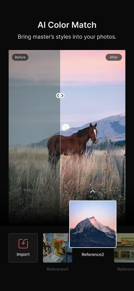 Colorby: AI Photo Color Editor - Split screen comparison of a horse photo before and after using the AI Color Match feature.