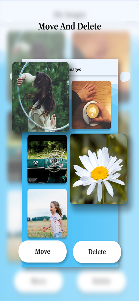 A user interface for managing private images with move and delete buttons in a secure vault app