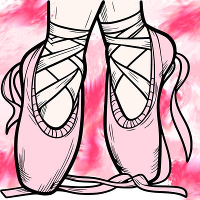 ballet shoes