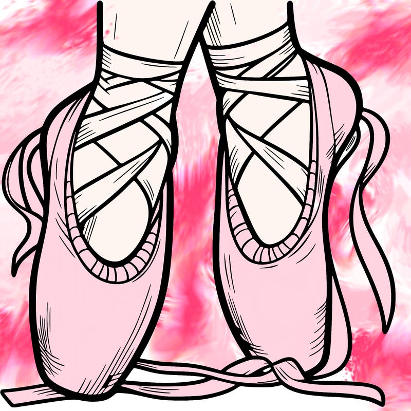 ballet shoes