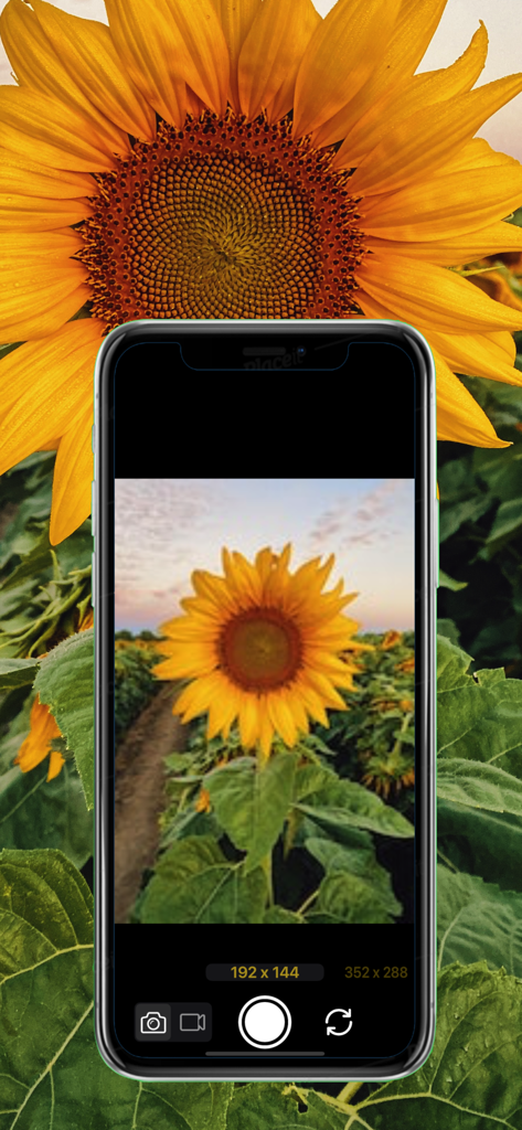 Interface do aplicativo Lo-Fi Cam mostrando uma foto pixelada de girassol de baixa resolução.