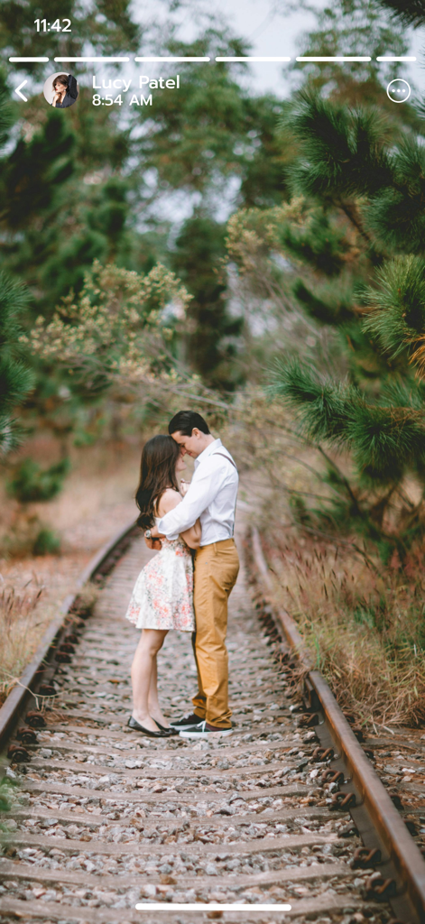 Save Status - Video Saver - ソーシャルメディアのステータス更新として、景色の良い森の中の線路上で抱き合っているロマンチックなカップル。